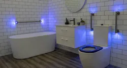 Evekare LED grab rail hero Evekare LED grab rail hero