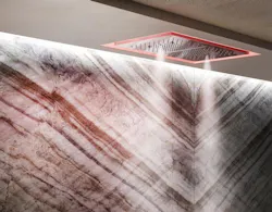 G Essi%2003 Afilo 57409 57010 G Essi%2003 Afilo 57409 57010