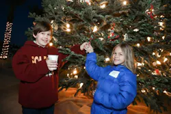 Community tree with ornaments at the Eastmark master planned community Community tree with ornaments at the Eastmark master planned community