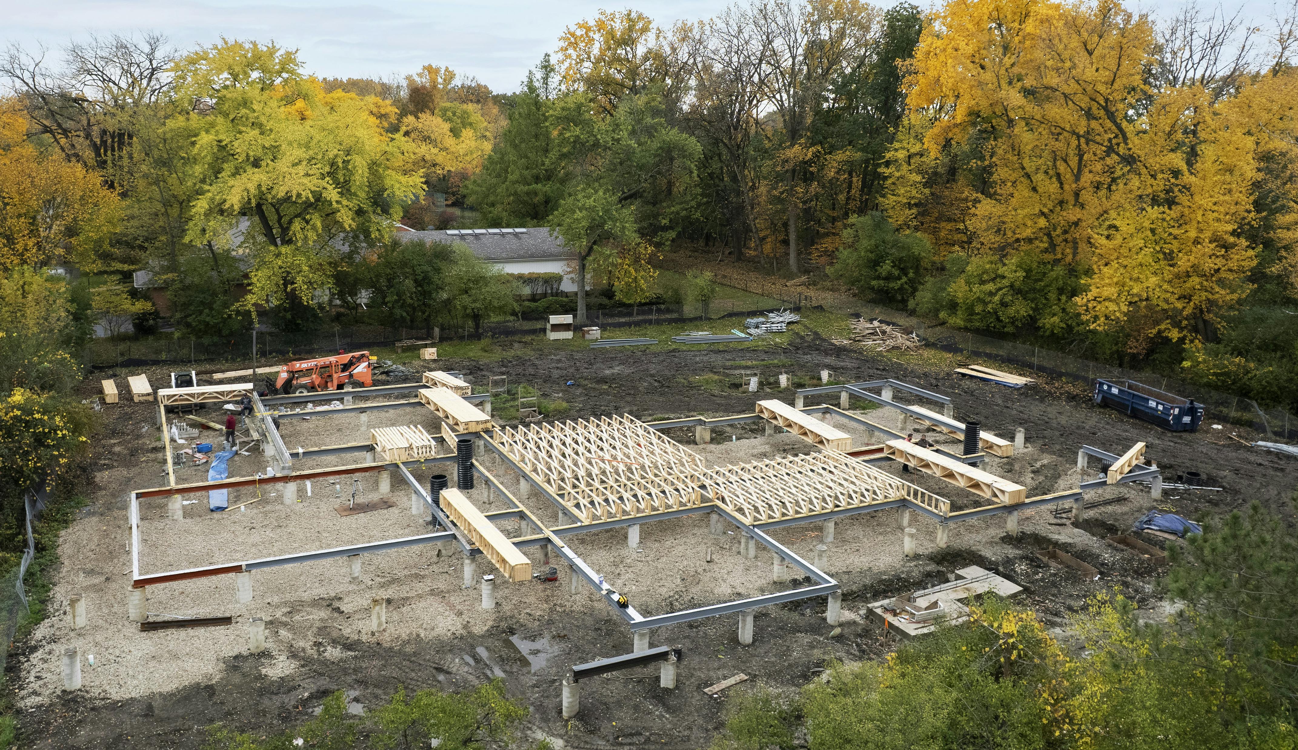 newlookmain_imagenew_option1lipman