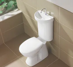 This WaterSense certified gray-water system is useful where space is tight. The This WaterSense certified gray-water system is useful where space is tight. The