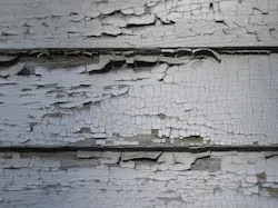 670c380d151d9b64c38eea04 119879793 6b06a70074 O 670c380d151d9b64c38eea04 119879793 6b06a70074 O