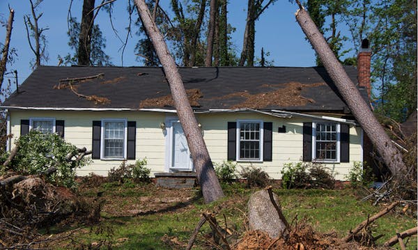roof storm damage trees fallen