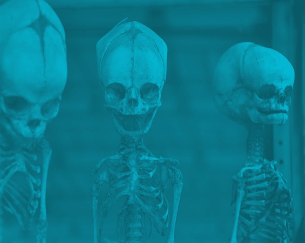 Architects and Traveling: Life of an Architect