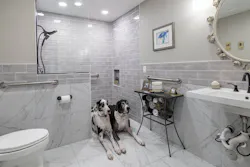 universal design universal design