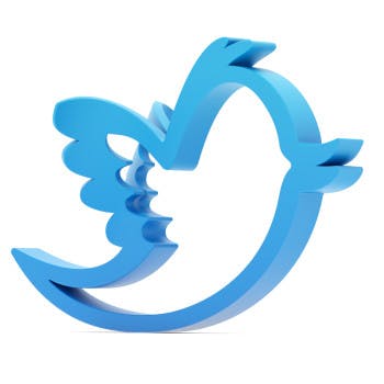 Shutterstock 84444805 350x350