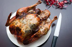 670c39bbc7e833e3cef5f7be Turkey 670c39bbc7e833e3cef5f7be Turkey