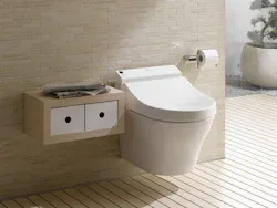 wall mounted toilet wall mounted toilet