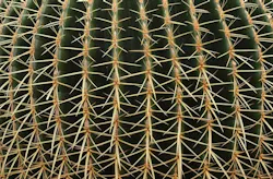 Thorny issue: replacing staff who leave your company is costly Thorny issue: replacing staff who leave your company is costly