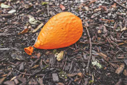 670c3acec7e8339f80f5f952 Balloons20deflate20houses20do20not 670c3acec7e8339f80f5f952 Balloons20deflate20houses20do20not