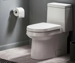 Gerber Plumbing Fixtures toilet Gerber Plumbing Fixtures toilet