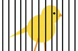 canary signs thought leaders pro remodeler canary signs thought leaders pro remodeler