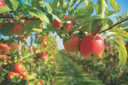 mark richardson mark richardson