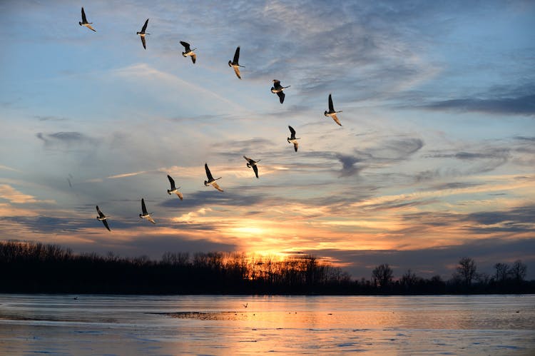 construction labor shortage