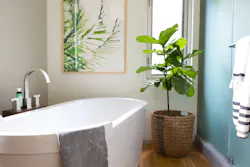 houzz bathroom design trends 2022 houzz bathroom design trends 2022