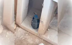 remodeler finds grenade remodeler finds grenade