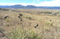 670c5f726510959ef2d12454 Land 670c5f726510959ef2d12454 Land