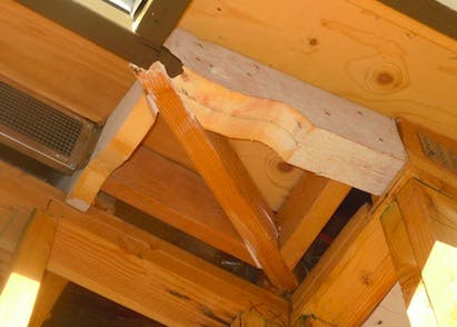 670c5f7c5b25a9ddc54fb71f Tuscan20tails