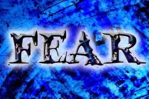 670c5f89b16b5cbc577a621d Fer2