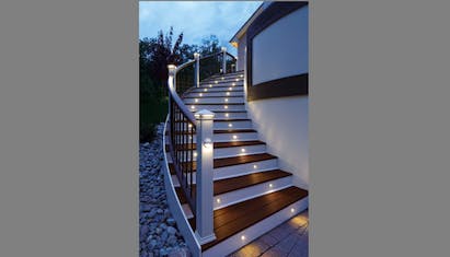 670c60b80a638b7fa9871489 Trex 0