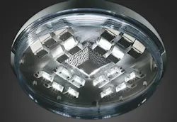 670c60bc68e9c1e36b2e698c Kim 670c60bc68e9c1e36b2e698c Kim