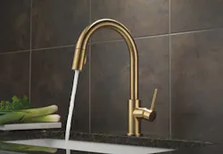 670c60c65b25a985334fb990 Delta 0 670c60c65b25a985334fb990 Delta 0