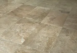 670c60c7b16b5c3fd17a64bc Arizona 670c60c7b16b5c3fd17a64bc Arizona