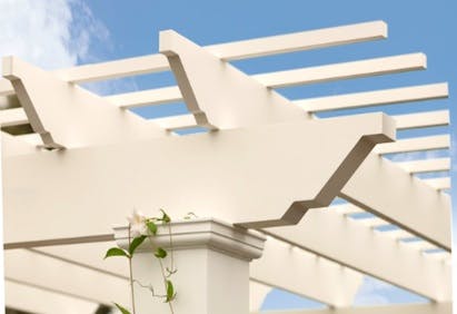 670c60dc6f422aad84512c31 Trex