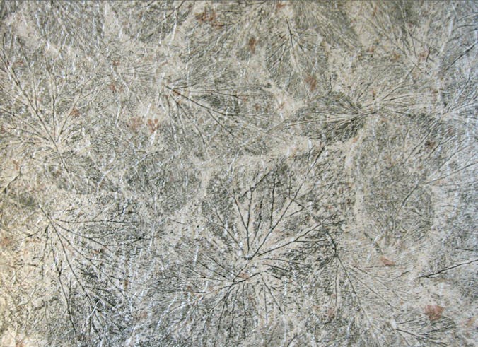 Screen Shot 2013 01 17 At 2 54 11 Pm