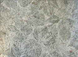 670c610f6510950e9ed12776 Screen20shot202013011720at202 670c610f6510950e9ed12776 Screen20shot202013011720at202