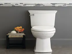 American Standard Optum Vormax High 0 American Standard Optum Vormax High 0