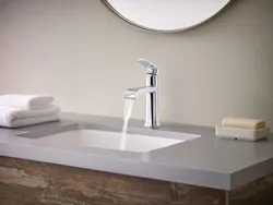 Baths Moen Genta Bath Suite Baths Moen Genta Bath Suite