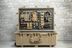 Pelican brief Pelican brief