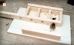 test to show how small of a hole mice can squeeze through test to show how small of a hole mice can squeeze through