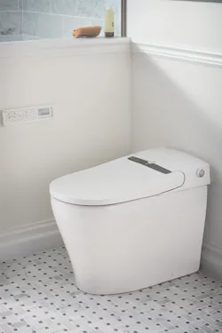 Dxv Spa Let At200 Ls Smart Toilet High Res Dxv Spa Let At200 Ls Smart Toilet High Res