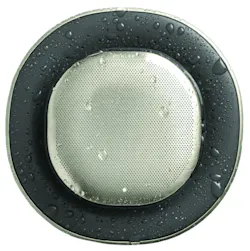 Moxie Kohler Moxie Kohler