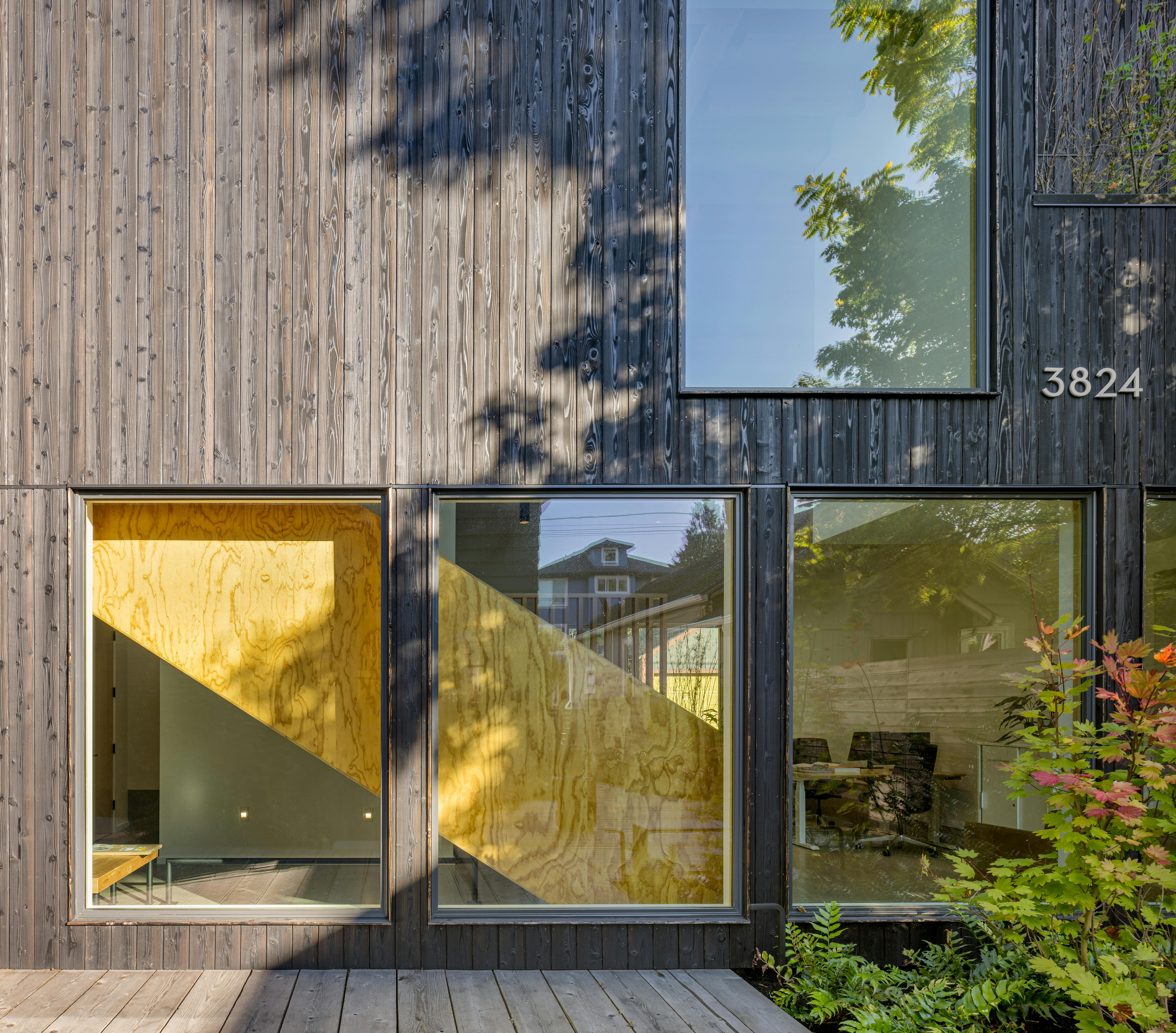 Nakamoto Forestry Pika-Pika Profile