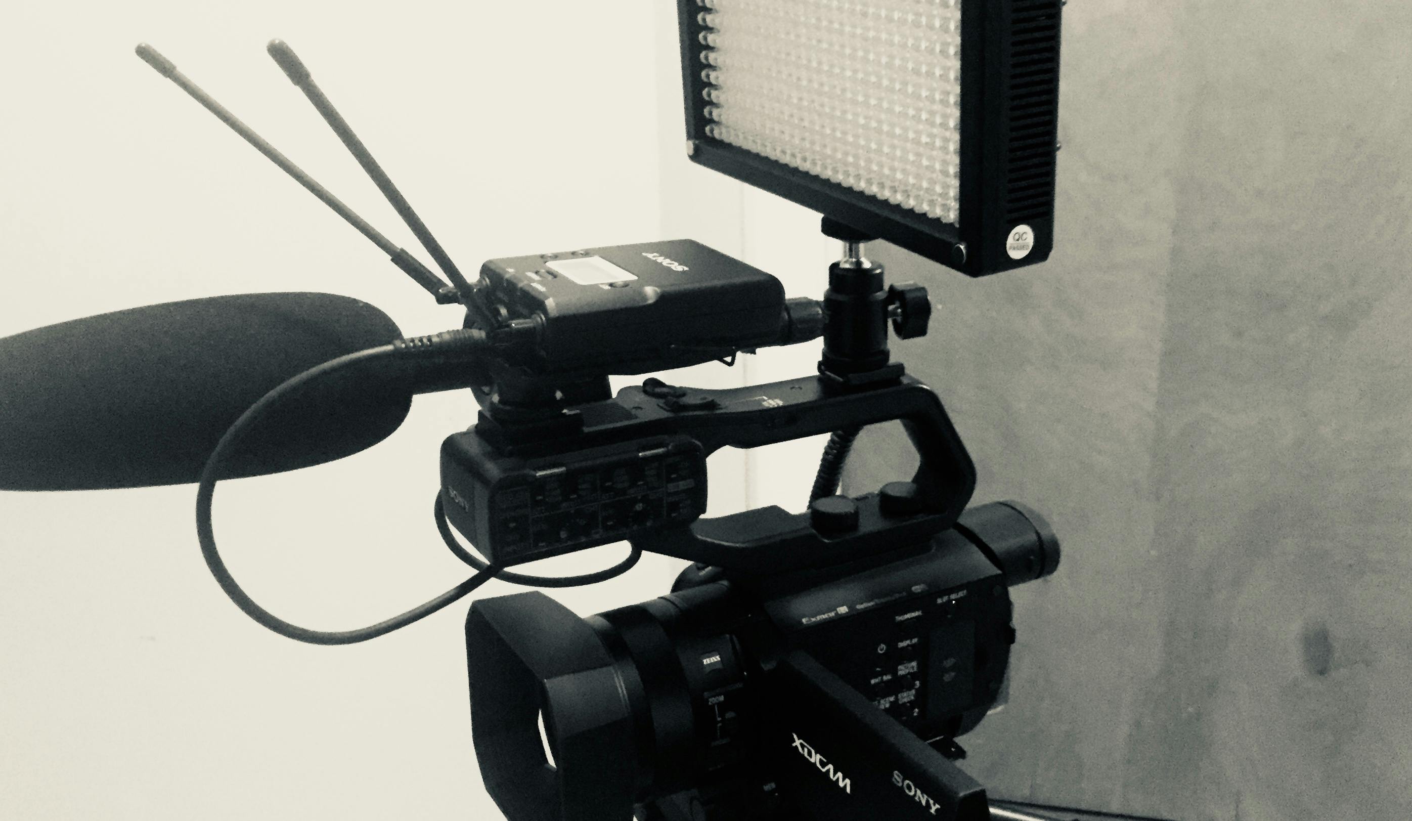 66fd8209e63fdc573645530e Img 4834