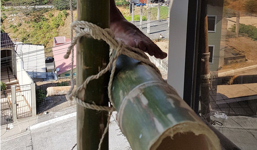 66fd8215341b122ddceae1f4 1lead20shothoriz