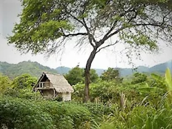 66fd821bacb26d63ef122ff7 Tinyhouseecuador 66fd821bacb26d63ef122ff7 Tinyhouseecuador