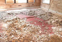 66fd822055d3972060094852 Horsehairplaster 66fd822055d3972060094852 Horsehairplaster