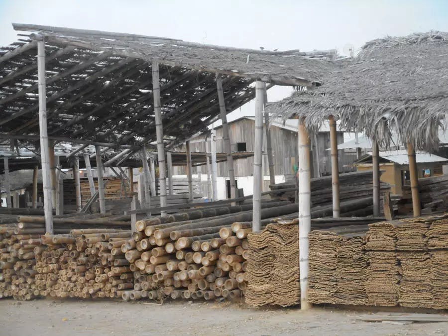 66fd822a1e06e52e60a3e513 Image 18