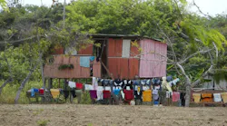 Bamboo Hut Bamboo Hut