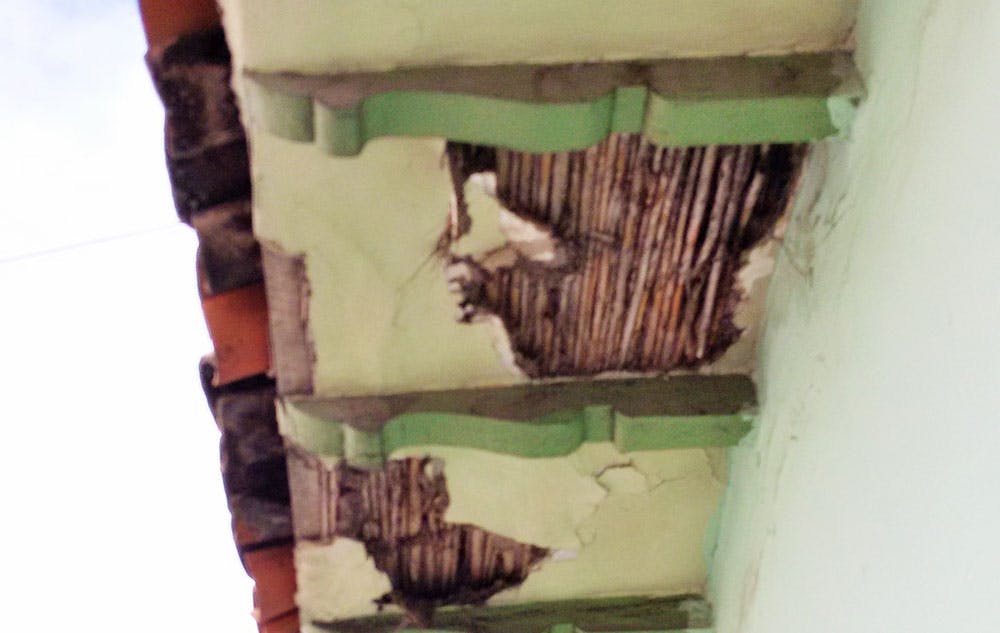 66fd822f341b12f102eae228 Canelath2crop