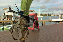 Carribean Homes 27 Carribean Homes 27