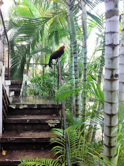 Carribean Homes 20 Carribean Homes 20