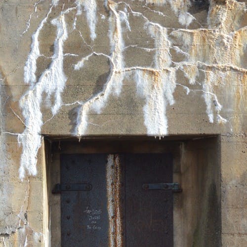 Artworks 000196517046 20f71n T500x500