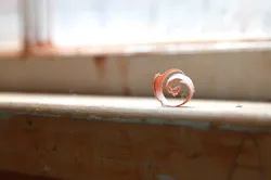 Wood Shaving Hull Historical Wood Shaving Hull Historical