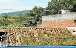 Mex13%20034%20%282%29 Mex13%20034%20%282%29