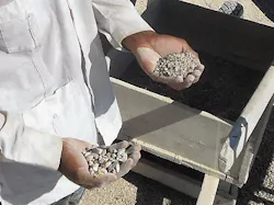 15 Crop%20 Angel%20shows%20me%20the%20varieties%20of%20granito 15 Crop%20 Angel%20shows%20me%20the%20varieties%20of%20granito